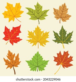 Colección de sencillez de diseño plano de hojas de arce a mano alzada. Ilustración vectorial.