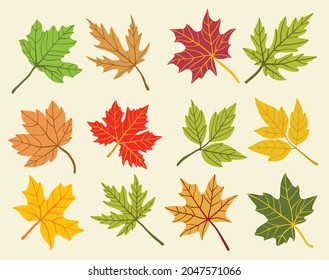 Collection of simplicity maple leaf freehand drawing flat design. Vector illustration.