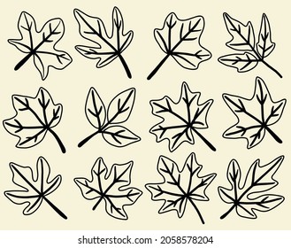 Collection of simplicity maple leaf freehand drawing flat design. Vector illustration.