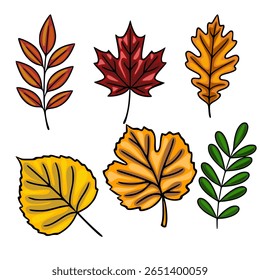 Collection of six autumn leaves vector illustration: maple, oak, ash, and birch leaves in vibrant fall colors, perfect for seasonal designs.