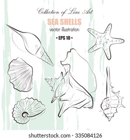 Collection of six beautiful sea shells. Set of line art elements for your own design.