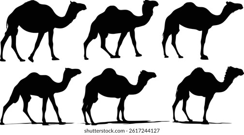 a collection of six black camel silhouettes, each depicting a different pose of the animal in a walking motion
