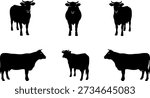A collection of six black cow silhouettes on a white background. Set includes cattle in various positions: front view, side view, and three-quarter view. Minimalist vector illustration for farm, livestock, or dairy industry design.