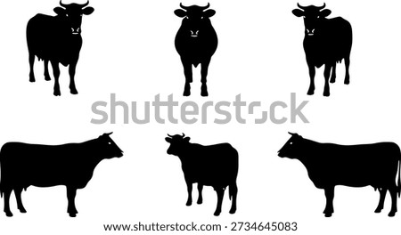 A collection of six black cow silhouettes on a white background. Set includes cattle in various positions: front view, side view, and three-quarter view. Minimalist vector illustration for farm, livestock, or dairy industry design.
