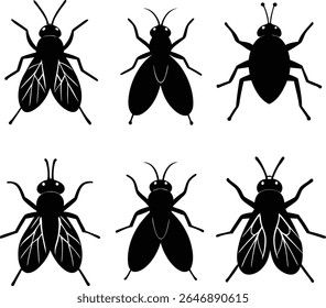Collection of Six Black Insect Silhouettes