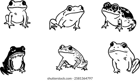 A collection of six black and white illustrations of different frog species, showcasing various poses and features. Each frog is distinct in shape and size, highlighting their unique characteristics.