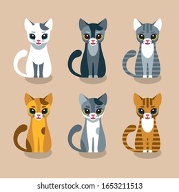 Colección de seis lindos gatos con diferentes colores