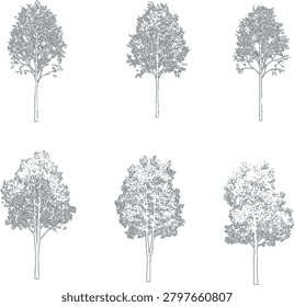 A collection of six detailed hand-drawn illustrations of deciduous trees with varying foliage density and branch structures, isolated on white background.