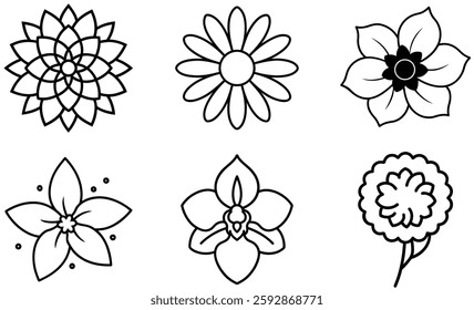 Collection of Six Different Line Art Flower Drawings Black and White Floral Designs