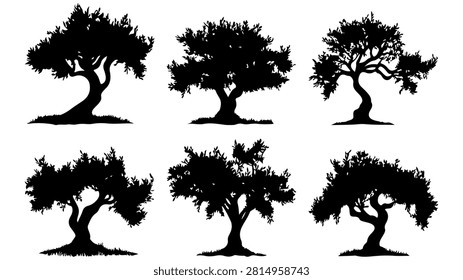 Collection of six distinct tree silhouettes showcasing diverse branch formations and shapes, emphasizing natural variation in tree growth patterns.