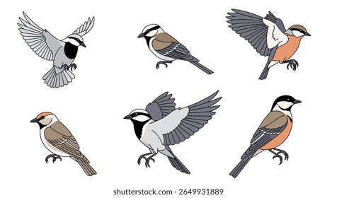 Uma coleção de seis criaturas aviárias de penas pequenas e diversas em renderizações artísticas
