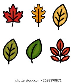 Collection of six diverse vector autumn leaves: maple, oak, and other unique leaf shapes in bold colors.