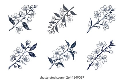 Coleção de seis elegantes ramos florais desenhados à mão perfeito para desenhos decorativos