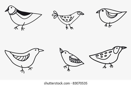 collection of six funny birds in vector