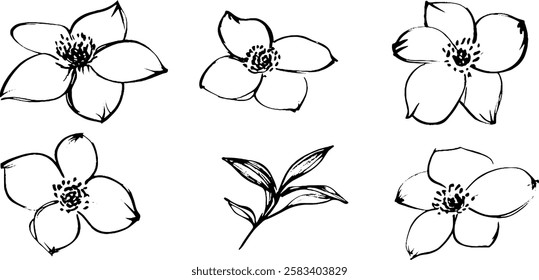 A collection of six hand-drawn floral illustrations featuring various flower designs and a small leaf branch. The flowers are outlined in black with simple details, showcasing