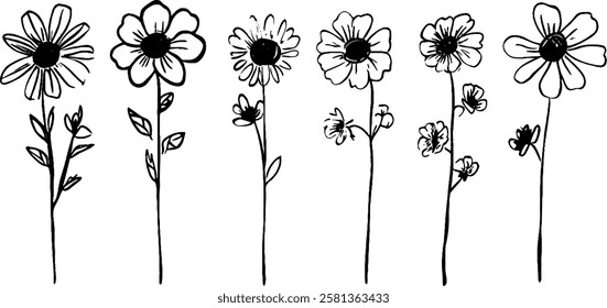 A collection of six hand-drawn flowers with varying shapes and sizes, each with a single stem and leaves, showcasing a simple and artistic style.