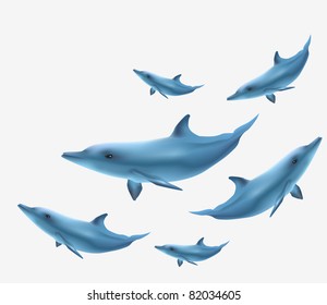 collection of six isolated dolphins on white background