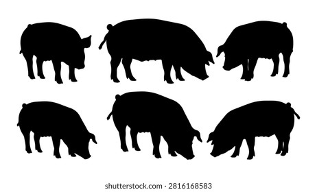 A collection of six pig silhouettes in different stances, showcasing their shapes and forms against a plain background for versatile use.