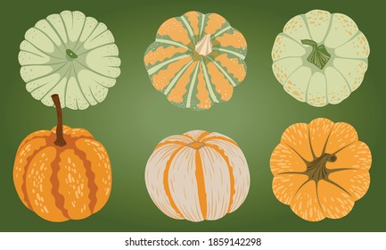 Collection of six pumpkin designs, autumn vector illustration in orange and green colors