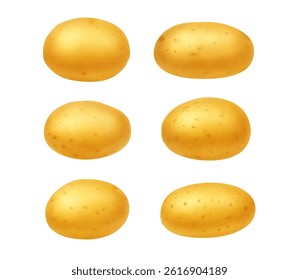 Collection of six realistic yellow potatoes in different shapes. High-quality vector illustration isolated on white background. Perfect for food packaging, farming visuals, and healthy eating designs.