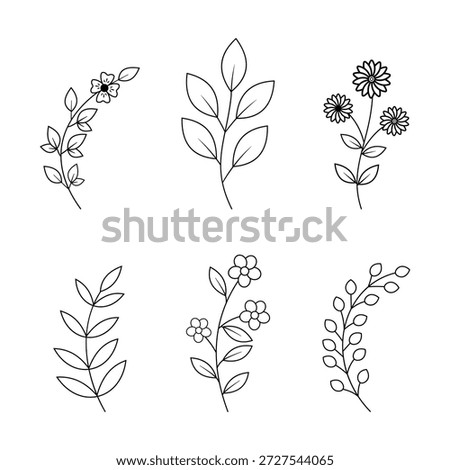 A collection of six refined hand-drawn botanical illustrations featuring minimalist line art of various flower stems, dainty blooms, and leafy branches in a clean, modern aesthetic perfect for wedding invitations and organic branding.
