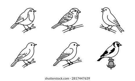 Collection of six stylized line art illustrations of different small birds perched on branches and a thistle