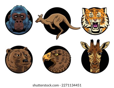 Recopilación de seis ilustraciones vectoriales de animales del mundo.