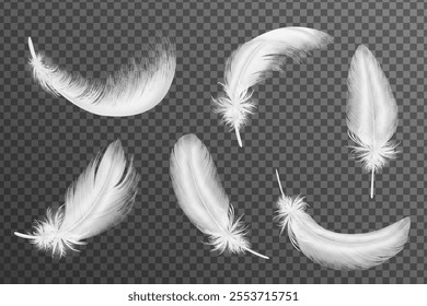 A collection of six white feathers on a transparent background, each with different shapes and orientations, showcasing delicate and soft textures.