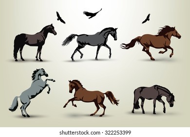 Collection of six wild horses and birds illustration