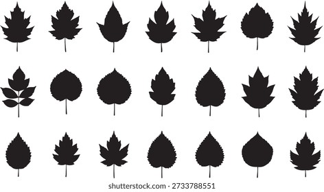 Collection of sixteen distinct maple leaf silhouettes in black, arranged in a grid pattern.