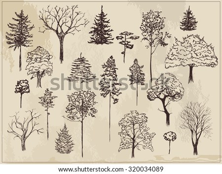 Collection Sketch Ink Trees Stock Vector (Royalty Free) 320034089