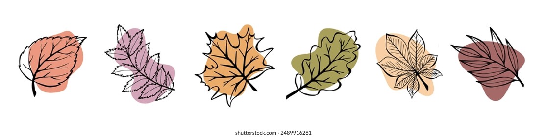 Collection Sketch Leaves, Oak, Rowan, Willow, Birch, Chestnut, Maple. Hand Drawing with Spots. Seth Doodle Branches on a white background. Autumn Vector Illustration.