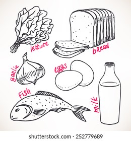 Collection of sketch products. hand-drawn illustration. food icons