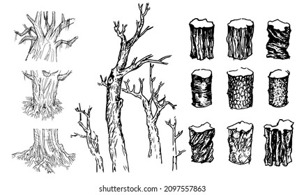 Collection of sketch tree twigs, broken trunks vector set.