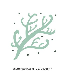 Collection sketch twigs. Floral elements hand drawn. Vector illustration