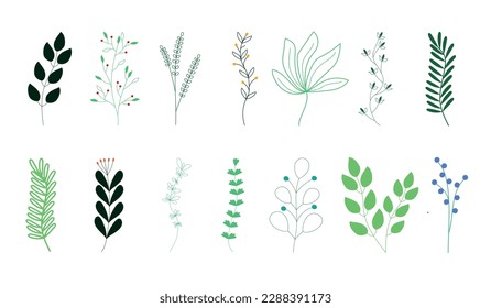 Collection sketch twigs. Hand drawn vector floral elements.