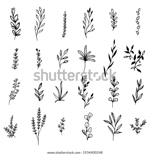 Collection Sketch Twigs Hand Drawn Vector Stock Vector (Royalty Free ...