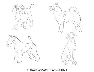 A collection of sketches breed dogs. Isolated hand drawings. Vector illustration