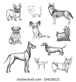 Dog Drawing Images Stock Photos Vectors Shutterstock