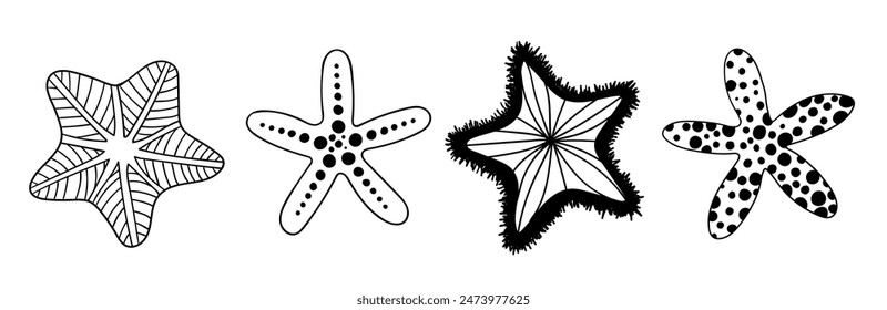 A collection of sketches and doodles of starfish. Vector graphics.