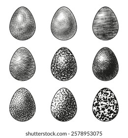 Collection sketches of eggs on white background. Hand drawing eggs collection. Egg sketch collection