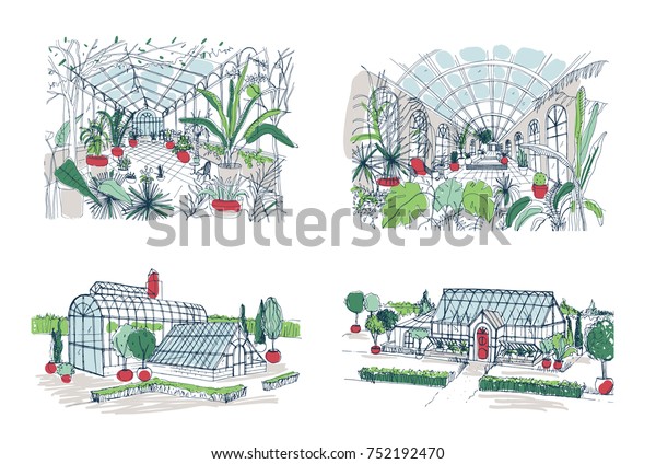 Collection Sketches Large Greenhouses Full Tropical Stock Vector ...