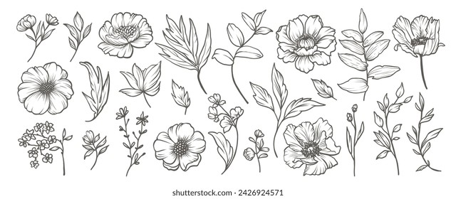 Collection of sketches of peonies flowers. Hand drawn minimal flowers in line art style. Trendy botanical elements of plants, branches and leaves. Vector illustration 