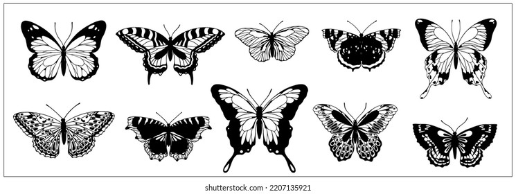 Colección de bocetos de varios insectos de mariposa alada.Gráficos vectores aislados.