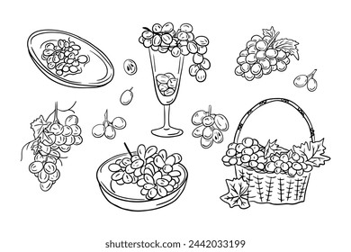 Collection of sketchy contour drawings of grapes. Vector black outline doodles of branches of berries on white background. Ideal for coloring pages, tattoo, pattern