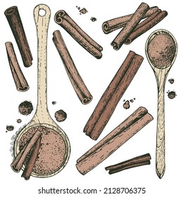 A collection of sketchy hand-drawn cinnamon. Color illustrations of engraving style. A set of isolated objects to create a design. Ground cinnamon in wooden spoons