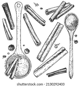 Collection of sketchy hand-drawn cinnamon. Monochrome illustrations of engraving style. A set of isolated objects to create a design. Ground cinnamon in wooden spoons