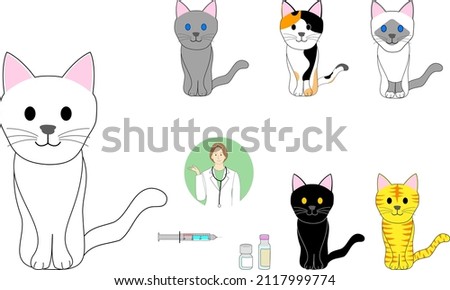 Collection of skinny cats, injection, medicine and veterinarian woman