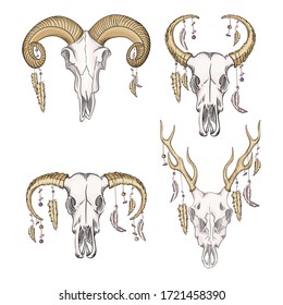 Collection of skulls of wild animals with feathers western mystical. bohemian head, western vintage animal.