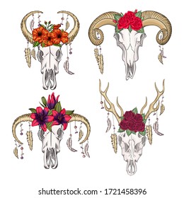 Collection of skulls of wild animals with feathers and flowers swestern mystical. bohemian head, western vintage animal.